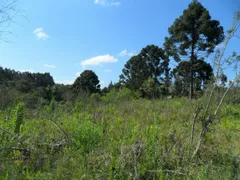 Terreno / Lote / Condomínio à venda, 48400m² no Areia Branca dos Assis, Mandirituba - Foto 1