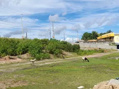 Terreno / Lote / Condomínio à venda, 40000m² no Jarí, Maracanaú - Foto 4