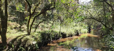 Fazenda / Sítio / Chácara à venda, 240000m² no Zona Rural, Bocaiúva do Sul - Foto 24