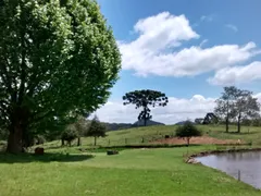 Fazenda / Sítio / Chácara com 3 Quartos à venda, 330000m² no Zona Rural, Três Coroas - Foto 12