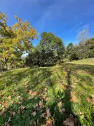 Terreno / Lote / Condomínio à venda, 1518m² no Linha 40, Caxias do Sul - Foto 8