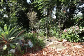 Fazenda / Sítio / Chácara com 3 Quartos à venda, 156m² no Jardim Paiquerê, Valinhos - Foto 22