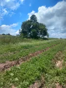 Terreno / Lote / Condomínio à venda, 1000m² no Caucaia do Alto, Cotia - Foto 4