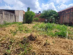 Terreno / Lote / Condomínio à venda, 250m² no Jardim Calegari, Sumaré - Foto 3