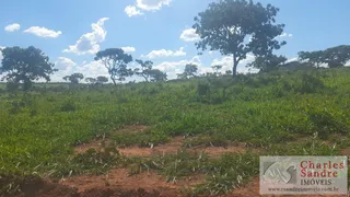 Fazenda / Sítio / Chácara com 4 Quartos à venda, 168m² no Zona Rural, Vila Propício - Foto 24