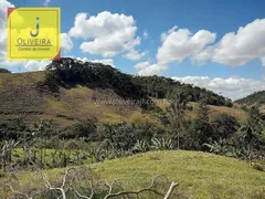 Fazenda / Sítio / Chácara à venda, 100000m² no , Coronel Pacheco - Foto 3