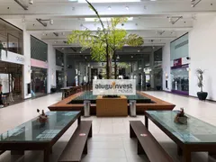 Loja / Salão / Ponto Comercial para alugar, 150m² no Saco Grande, Florianópolis - Foto 8