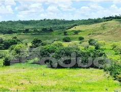 Fazenda / Sítio / Chácara com 4 Quartos à venda, 302500m² no Zona Rural, Itaporanga d'Ajuda - Foto 11