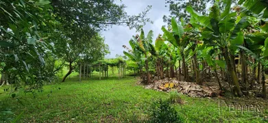 Fazenda / Sítio / Chácara com 3 Quartos à venda, 200m² no Zona Rural, Araricá - Foto 17