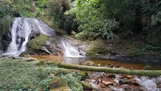 Terreno / Lote / Condomínio à venda no , Anitápolis - Foto 21