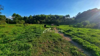 Fazenda / Sítio / Chácara à venda, 20000m² no Itapeti, Guararema - Foto 5