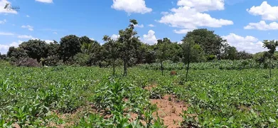 Fazenda / Sítio / Chácara com 3 Quartos à venda, 4500m² no Area Rural do Paranoa, Brasília - Foto 17