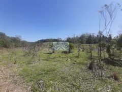 Fazenda / Sítio / Chácara à venda, 169400m² no Cipó do Meio, São Paulo - Foto 32