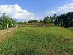 Fazenda / Sítio / Chácara à venda, 314600m² no Zona Rural, Guareí - Foto 6