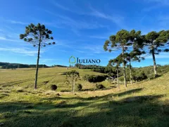 Terreno / Lote / Condomínio à venda, 294949m² no Vargedo, Rancho Queimado - Foto 14