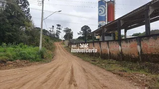 Terreno / Lote Comercial à venda, 128000m² no Thomaz Coelho, Araucária - Foto 5