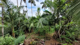 Terreno / Lote / Condomínio à venda no Bom Retiro, Joinville - Foto 5