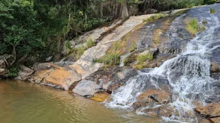 Fazenda / Sítio / Chácara com 1 Quarto à venda, 32000m² no Zona Rural, Taquaraçu de Minas - Foto 5