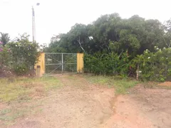 Fazenda / Sítio / Chácara com 2 Quartos à venda, 2500m² no Area Rural de Vitoria do Santo Antao, Vitória de Santo Antão - Foto 40