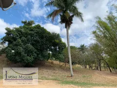 Fazenda / Sítio / Chácara com 5 Quartos à venda, 330000m² no , Vassouras - Foto 20