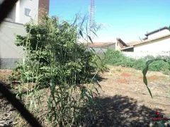 Terreno / Lote / Condomínio à venda, 300m² no Centro, Boituva - Foto 3