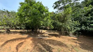 Fazenda / Sítio / Chácara com 3 Quartos à venda, 2600m² no Zona Rural, Jacutinga - Foto 14