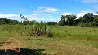 Fazenda / Sítio / Chácara com 2 Quartos à venda, 54000m² no Zona Rural, Juquiá - Foto 24