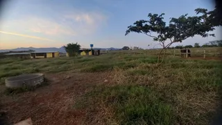 Fazenda / Sítio / Chácara com 4 Quartos à venda, 20000m² no , Igarapé - Foto 4