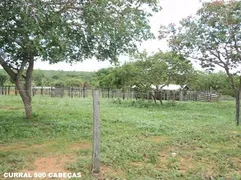 Fazenda / Sítio / Chácara com 4 Quartos à venda, 39790000m² no Centro, Buritizeiro - Foto 14