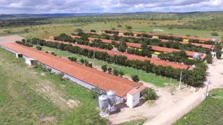 Fazenda / Sítio / Chácara com 3 Quartos à venda, 8m² no , Pocinhos - Foto 3
