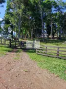 Fazenda / Sítio / Chácara com 2 Quartos à venda, 41800m² no Centro, Campo Alegre - Foto 8