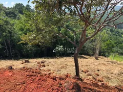 Fazenda / Sítio / Chácara à venda, 20000m² no Lagoa Nova, Guararema - Foto 13