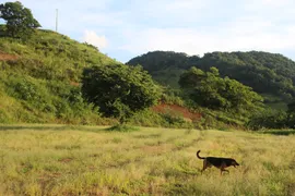 Terreno / Lote / Condomínio à venda, 25000m² no Zona Rural, Pardinho - Foto 1