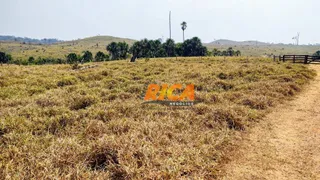 Fazenda / Sítio / Chácara com 2 Quartos à venda, 39370000m² no Vista Alegre do Abuna, Porto Velho - Foto 23