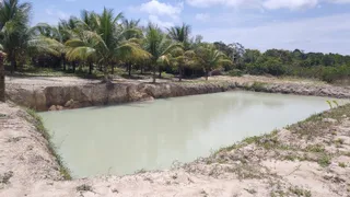 Fazenda / Sítio / Chácara com 4 Quartos à venda, 430000m² no Zona Rural, Conde - Foto 43