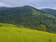 Fazenda / Sítio / Chácara com 5 Quartos à venda, 169400m² no São Francisco Xavier, São José dos Campos - Foto 22