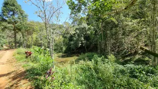 Fazenda / Sítio / Chácara com 5 Quartos à venda, 320m² no Chapeu, Domingos Martins - Foto 20