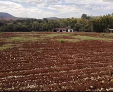Fazenda / Sítio / Chácara com 6 Quartos à venda, 193600m² no Zona Rural, Altinópolis - Foto 4