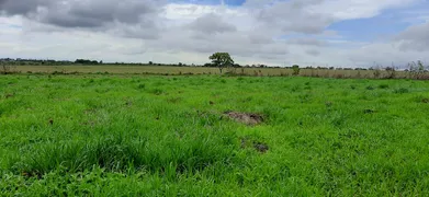 Fazenda / Sítio / Chácara com 4 Quartos à venda, 40000m² no Area Rural do Paranoa, Brasília - Foto 22