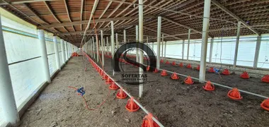 Fazenda / Sítio / Chácara com 3 Quartos à venda, 8m² no , Pocinhos - Foto 9