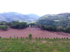 Terreno / Lote / Condomínio à venda, 96000m² no , Santa Tereza - Foto 3