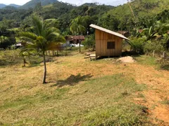 Fazenda / Sítio / Chácara com 1 Quarto à venda, 67000m² no Moura, Canelinha - Foto 8