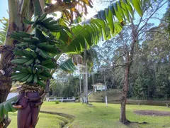 Fazenda / Sítio / Chácara com 7 Quartos à venda, 700m² no Caete - Mailasqui, São Roque - Foto 17