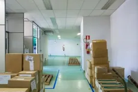 Galpão / Depósito / Armazém com 5 Quartos à venda, 1200m² no Vila Anglo Brasileira, São Paulo - Foto 11