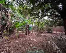 Fazenda / Sítio / Chácara à venda, 5255m² no Jardim Nilza, Maringá - Foto 18