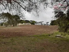 Terreno / Lote / Condomínio à venda, 101950m² no Costeira, São José dos Pinhais - Foto 2