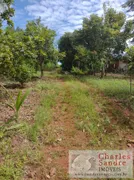 Fazenda / Sítio / Chácara com 4 Quartos à venda, 5000m² no Zona Rural, Indiara - Foto 21