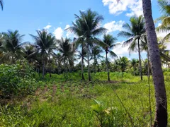 Fazenda / Sítio / Chácara à venda, 150m² no Jabaco, Igarassu - Foto 5