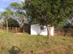 Fazenda / Sítio / Chácara com 3 Quartos à venda, 4600m² no Zona Rural, Monte Alegre - Foto 4