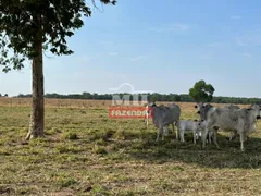 Fazenda / Sítio / Chácara à venda no Zona Rural, Jussara - Foto 32